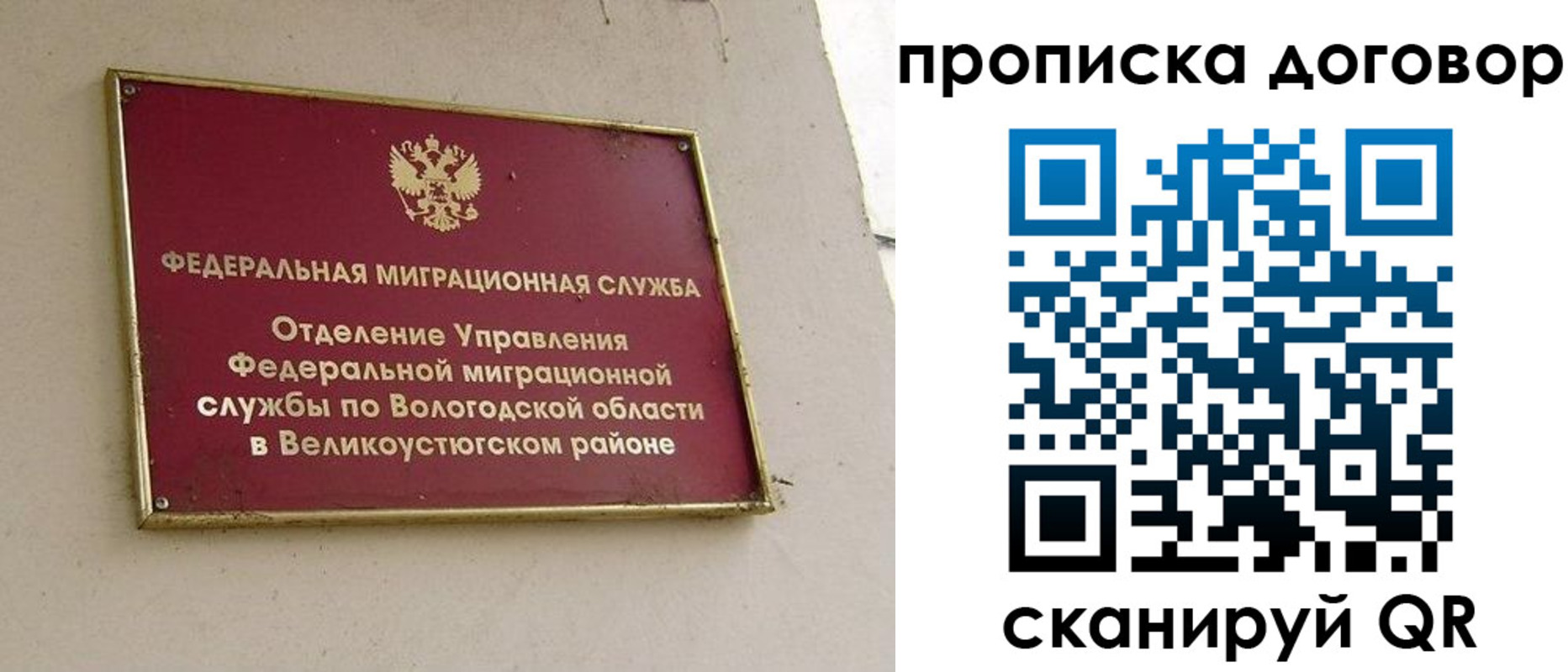 временная регистрация гарантия в Александровске