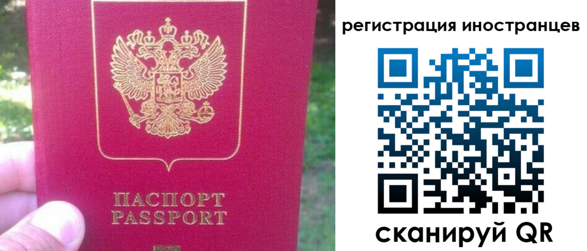 временная регистрация законно в Александровске